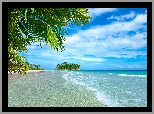 Morze, Plaża, Palmy, Wysepka