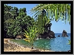 Morze, Plaża, Skały, Roślinność