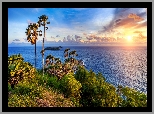 Wschód słońca, Morze, Palmy, Skały, Przylądek, Promthep Cape, Wyspa Phuket, Tajlandia