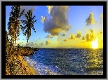 Morze, Chmury, Palmy, Zachód Słońca, Barbados