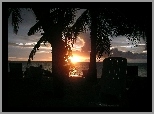 Morze, Palmy, Zachód Słońca, Malediwy