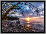 Morze, Brzeg, Kamienie, Drzewo, Zachód, Słońca
