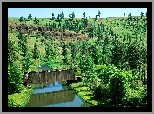 Most, Covered Bridge, Washington, Drzewa