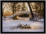 Zima, Park Worlitz, Saksonia-Anhalt, Niemcy, Drzewa, Zaśnieżony, Staw, Mostek