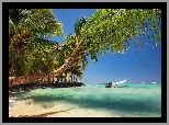 Morze, Plaża, Palmy, Motorówka, Punta Cana, Dominikana