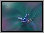 Motyl, Roślina