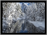 Zima, Drzewa, Rzeka, Merced River, Park Narodowy Yosemite, Kalifornia, Stany Zjednoczone