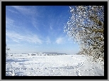 Niebo, Drzewo, Śnieg, Zima