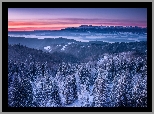 Zima, Śnieg, Góry, Lasy, Drzewa, Zachód słońca