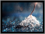 Niełupka, Dmuchawiec, Krople, Bokeh