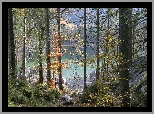 Jezioro Hintersee, Skały, Las, Drzewa, Park Narodowy Berchtesgaden, Bawaria, Niemcy