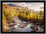 Jesień, Góry, Drzewa, Las, Rzeka, Gmina Hemsedal, Region Buskerud, Norwegia