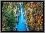 Nowa Zelandia, Queenstown, Rzeka, Shotover River, Skały, Wąwóz, Jesień, Drzewa