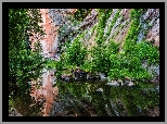 Stany Zjednoczone, Arizona, Sedona, Skały, Wąwóz, Oak Creek, Rzeka, Drzewa, Roślinność