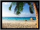Ocean, Plaża, Palma, Tropiki