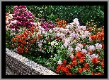 Ogród, Kamienny, Murek, Kwiaty, Różaneczniki