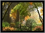 Ogród, Park, Mostek, Drzewa