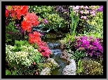 Ogród, Kaskada, Kolorowe, Różaneczniki, Azalie