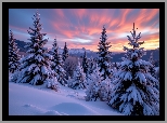 Wschód słońca, Zima, Ośnieżone, Drzewa, Zbocze