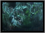 Pajęczyna, Łąka, Rośliny, Bokeh