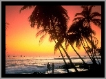 Hawaje, Palmy, Fale