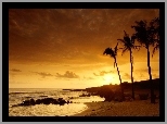 Palmy, Morze, Zachód Słońca