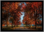 Park, Drzewa, Ławki, Aleja, Jesień