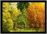 Park, Kolorowe, Drzewa, Ławki, Jesień