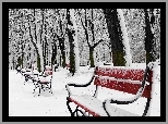 Park, Drzewa, Ławki, Zima