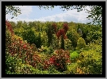 Park, Altana, Kolorowe, Drzewa, Krzewy