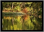 Park, Jesień, Jezioro, Drzewa, Kaczki
