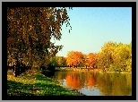 Park, Rzeka, Kolorowe, Drzewa, Jesień