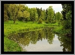 Park, Staw, Odbicie, Drzewa, Wiosna