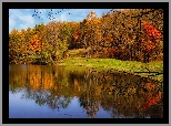 Park, Staw, Pożółkłe, Drzewa, Jesień