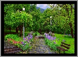 Park, Drzewa, Ławka, Alejki, Irysy, Latarnie