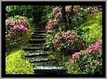 Park, Kwitnące, Rododendrony, Kamienne, Schodki