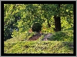 Park, Drzewa, Trawa, Kamienne, Schodki
