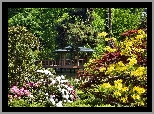 Park, Altana, Kolorowe, Rododendrony