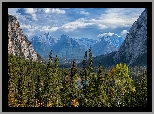 Park Narodowy Banff, Góry Skaliste, Drzewa, Lasy, Alberta, Kanada