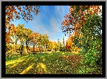 Park, Drzewa, Alejki, Ławki, Liście, Jesień