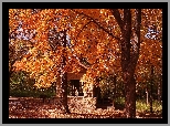 Park, Domek, Ławki, Liście, Jesień