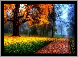 Park, Alejka, Drzewa, Liście, Jesień