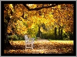 Park, Ławka, Drzewa, Liście, Jesień