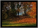 Park, Jesień, Drzewa, Liście, Ławka