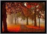 Park, Alejki, Latarnie, Mgła, Liście, Jesień
