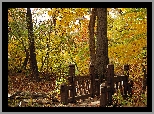 Park, Mostek, Liście, Jesień