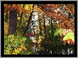 Park, Jesień, Kolorowe, Liście, Most, Jezoro