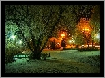 Park, Drzewa, Lampy, Noc, Zima