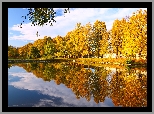 Park, Jesień, Staw, Odbicie, Drzewa