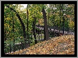 Park, Rzeczka, Most, Opadłe, Liście